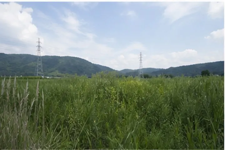 茨城県南部 連系候補周辺